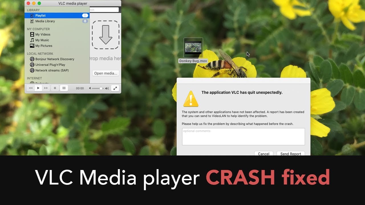 vlc for mac problems